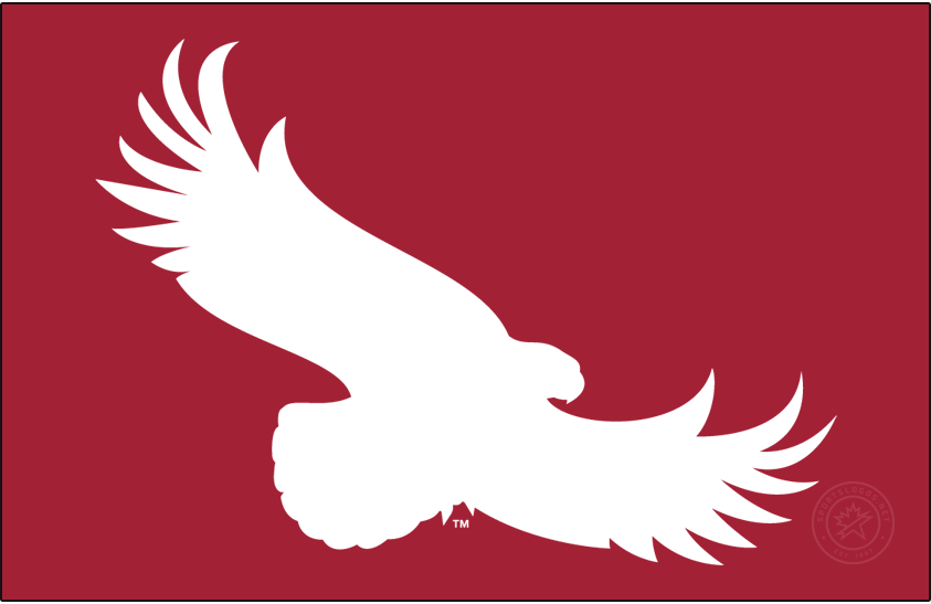 St. Joseph's Hawks 2018-Pres Alt on Dark Logo diy iron on heat transfer
